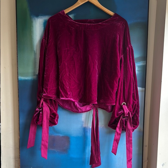 Free People Tops - Free People Gimme Some Lovin' Velvet Top with Tie Sleeves